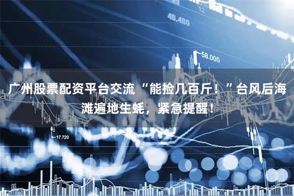 广州股票配资平台交流 “能捡几百斤！”台风后海滩遍地生蚝，紧急提醒！