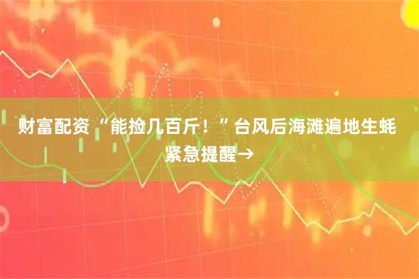 财富配资 “能捡几百斤！”台风后海滩遍地生蚝 紧急提醒→
