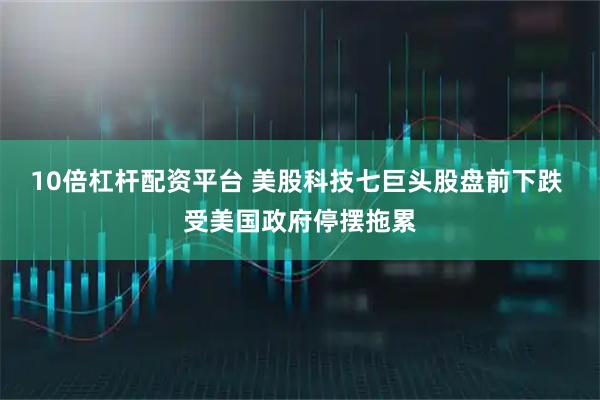 10倍杠杆配资平台 美股科技七巨头股盘前下跌 受美国政府停摆拖累